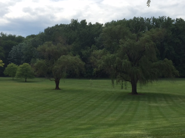 2017-06-17 Columbus - Miller 80