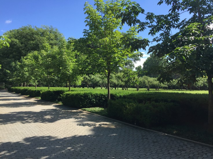 2017-06-17 Columbus - Miller 96