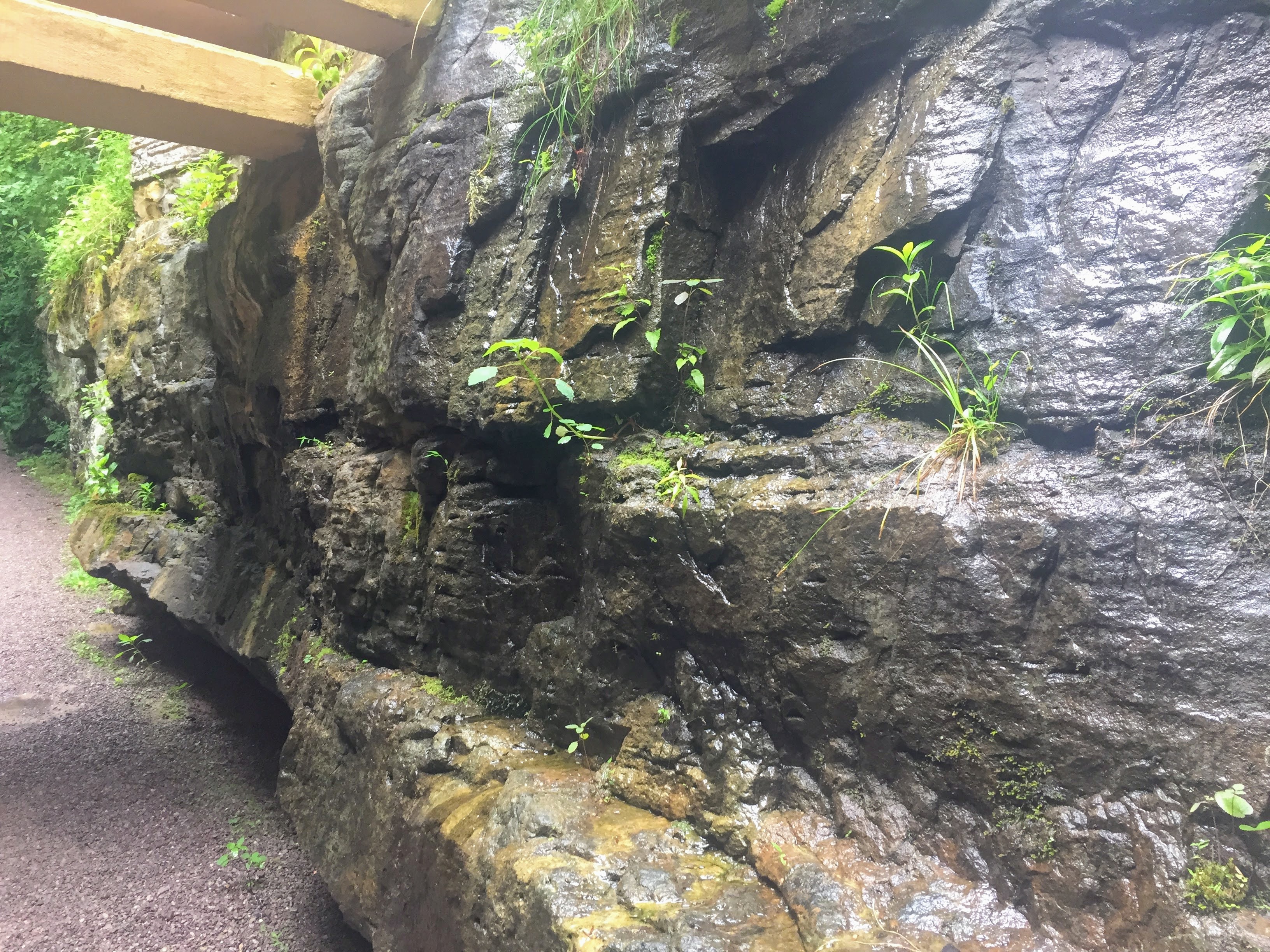 2017-06-22 Fallingwater 003l