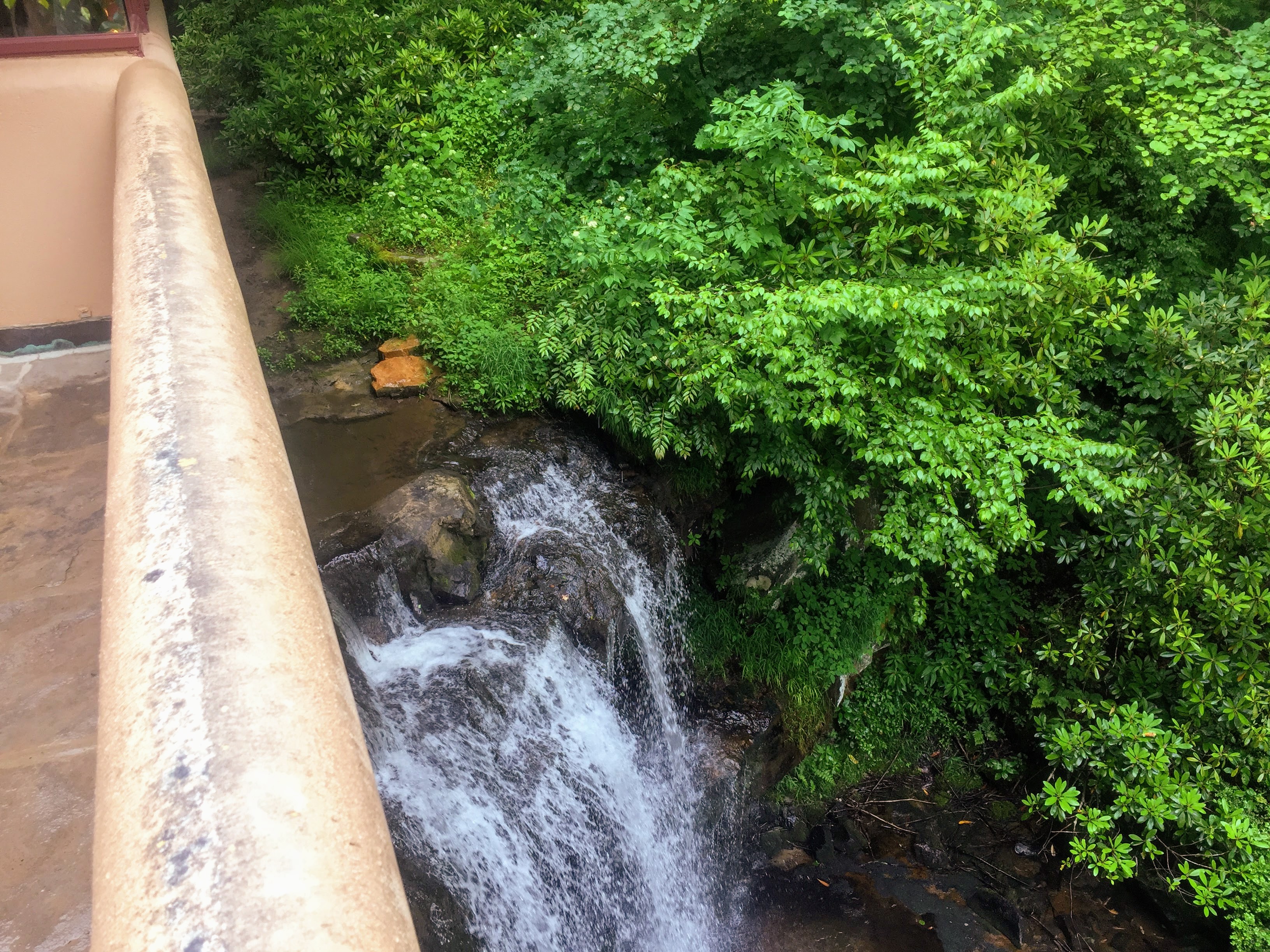 2017-06-22 Fallingwater 006d