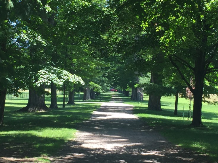 2017-07-04 Hyde Park FDR 31