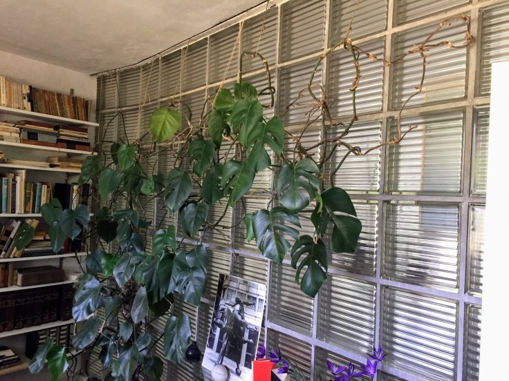 2017-07-15 Gropius 08