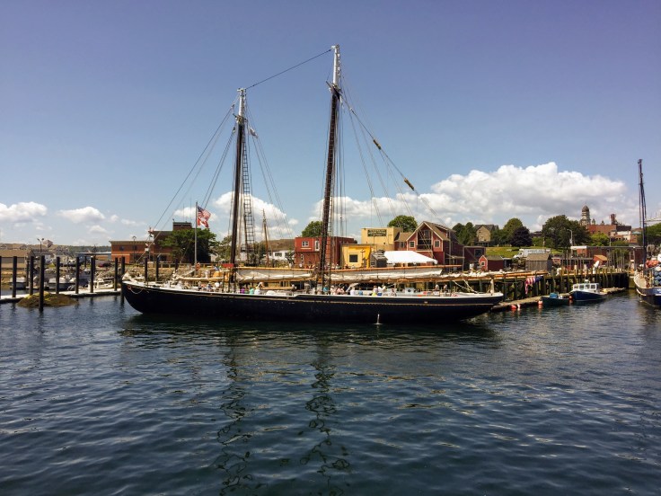 2017-07-16 Gloucester Whale Watching 11