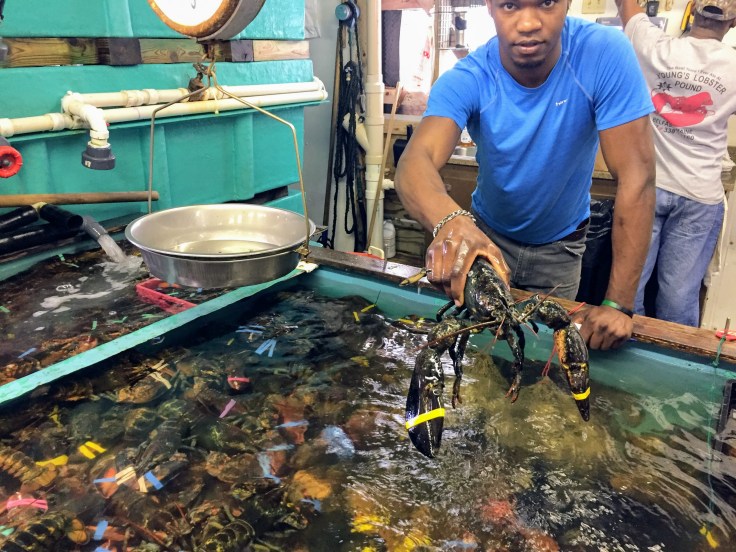 2017-07-21 Belfast Youngs Lobster 03