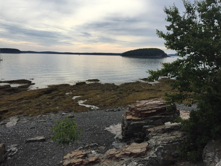 2017-07-24 Acadia NP 01