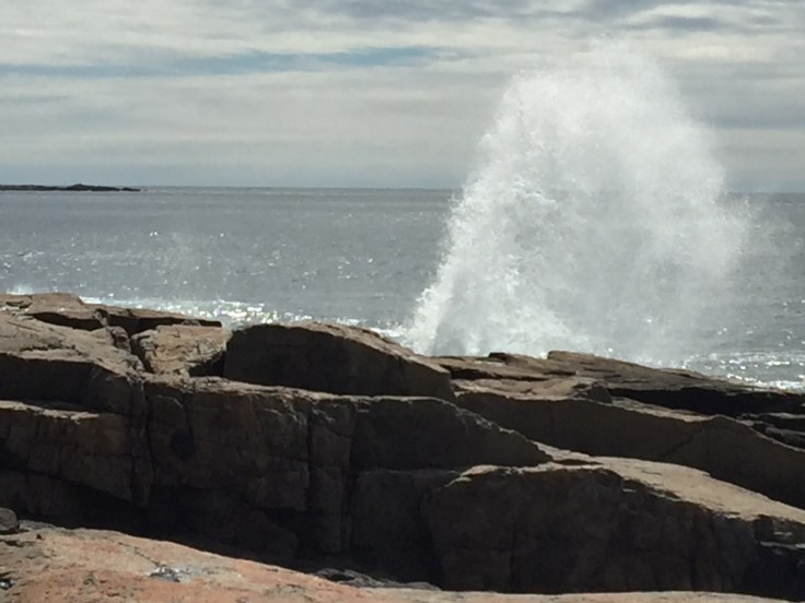 2017-07-25 Acadia Scoodic 07