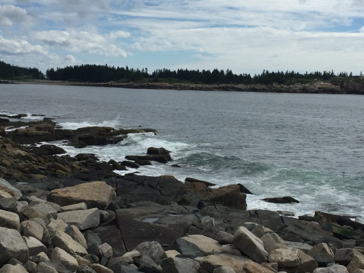 2017-07-25 Acadia Scoodic 11