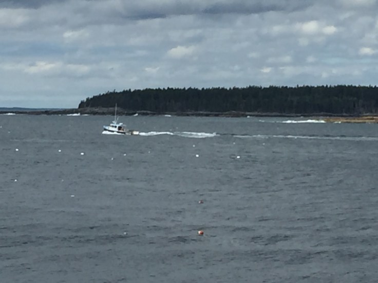 2017-07-25 Acadia Scoodic 13