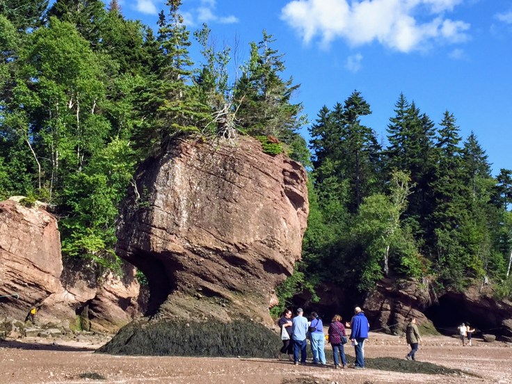 2017-07-29 Hopewell Rocks 04
