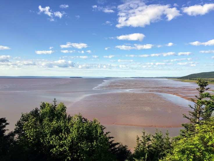 2017-07-29 Hopewell Rocks 08