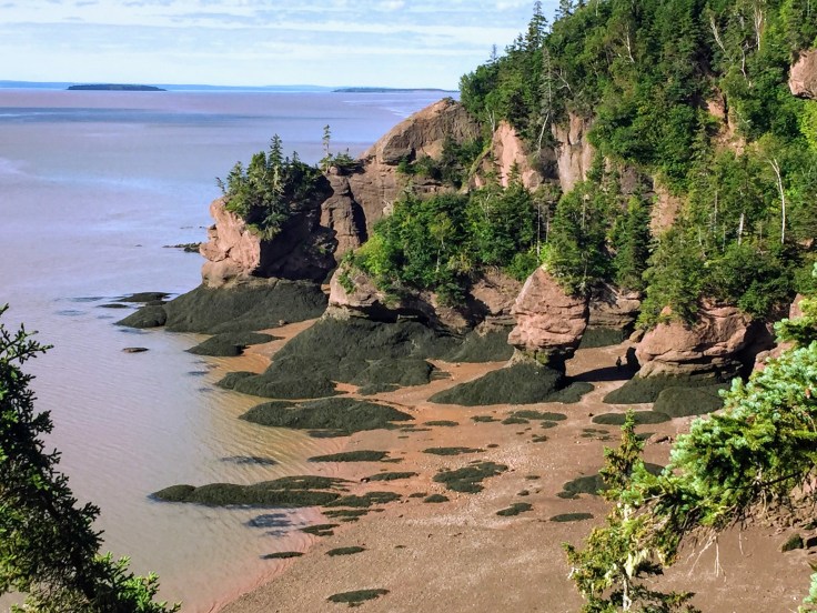 2017-07-29 Hopewell Rocks 09