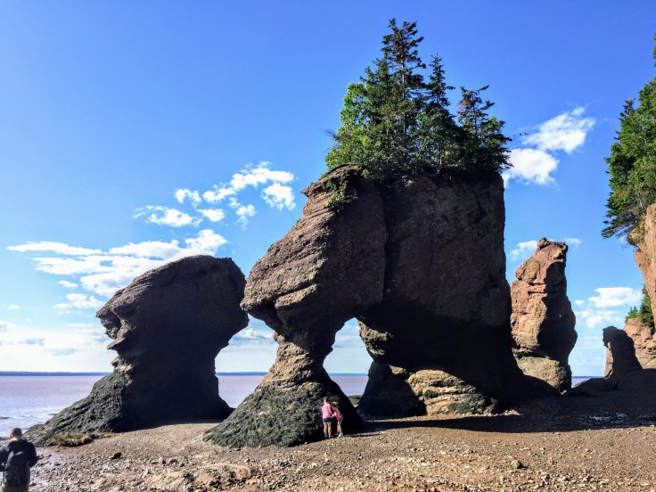 2017-07-29 Hopewell Rocks 12