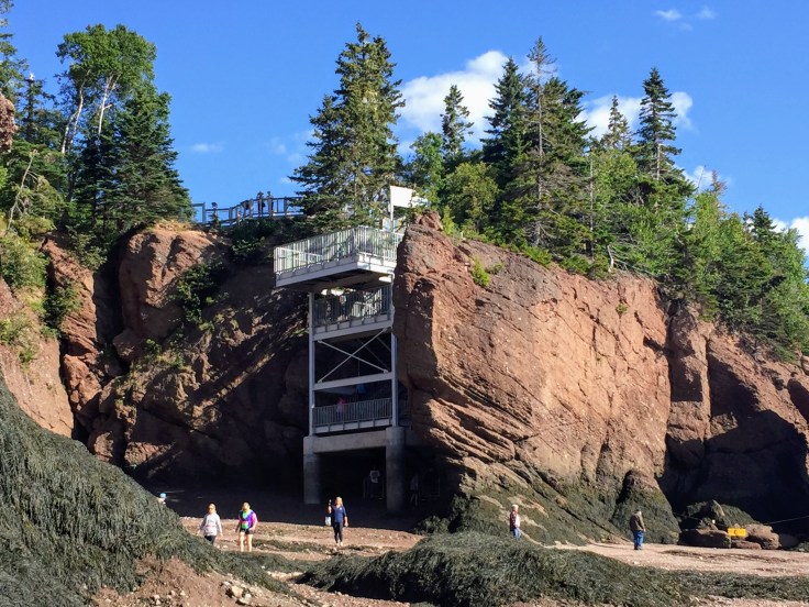 2017-07-29 Hopewell Rocks 14