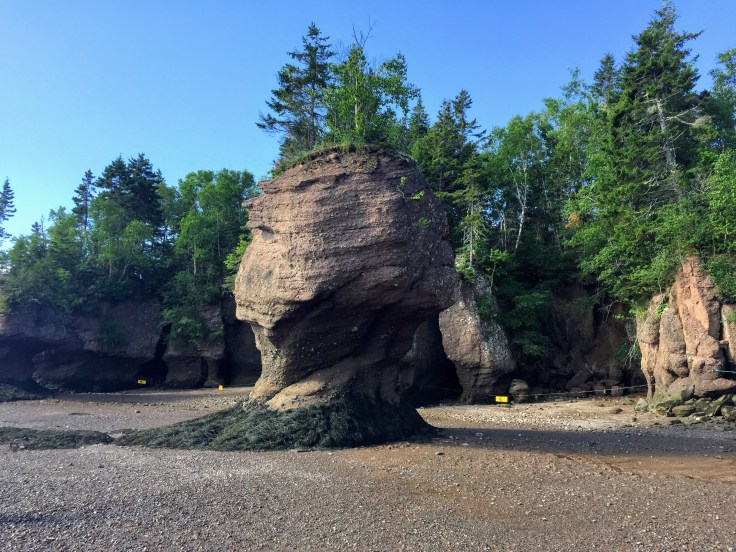 2017-07-29 Hopewell Rocks 17