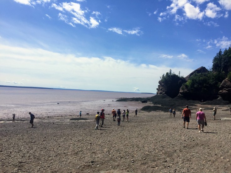 2017-07-29 Hopewell Rocks 18