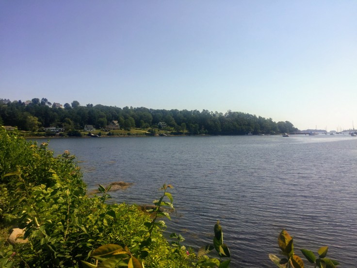 2017-08-02 Graves Island 02