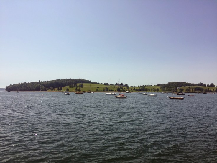 2017-08-02 Graves Island 03