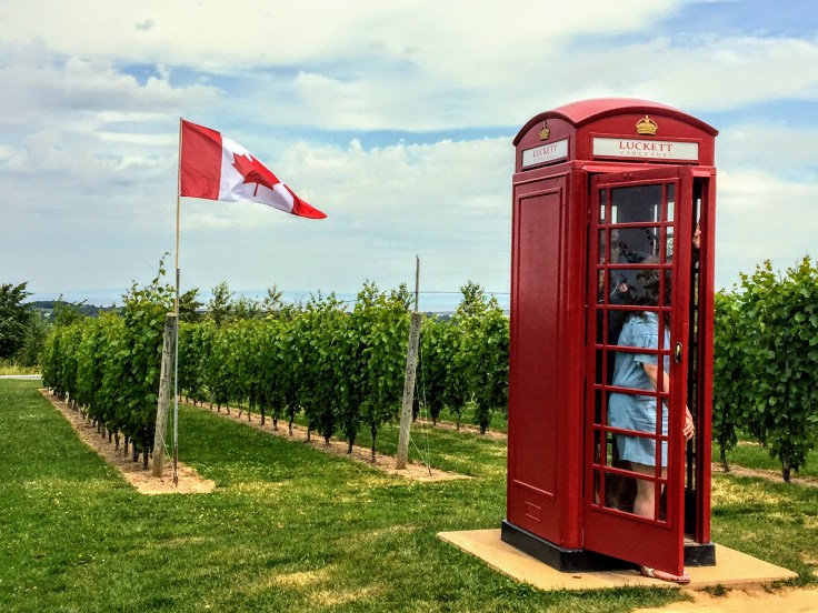 2017-08-03 Luckett Winery 2