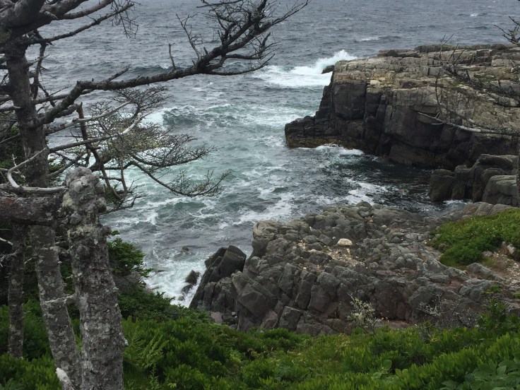 2017-08-06 Louisbourg Lighthouse Walk 12