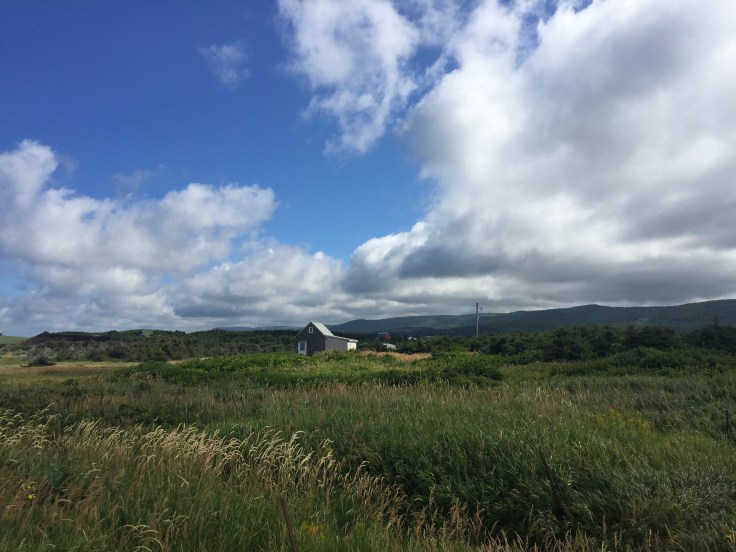 2017-08-09 Cape Breton Seaside 21