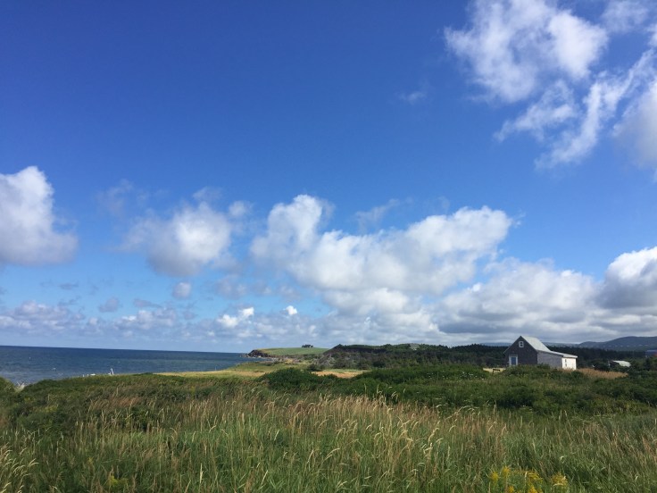 2017-08-09 Cape Breton Seaside 22