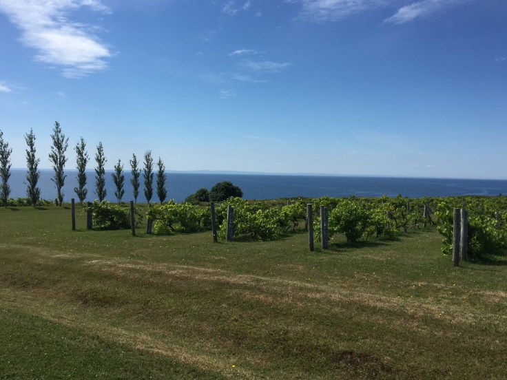 2017-08-11 Rosignol Winery 07