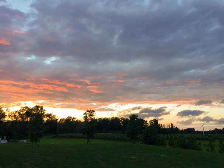 2017-08-22 Harvest Hosts - Burning Kiln 04