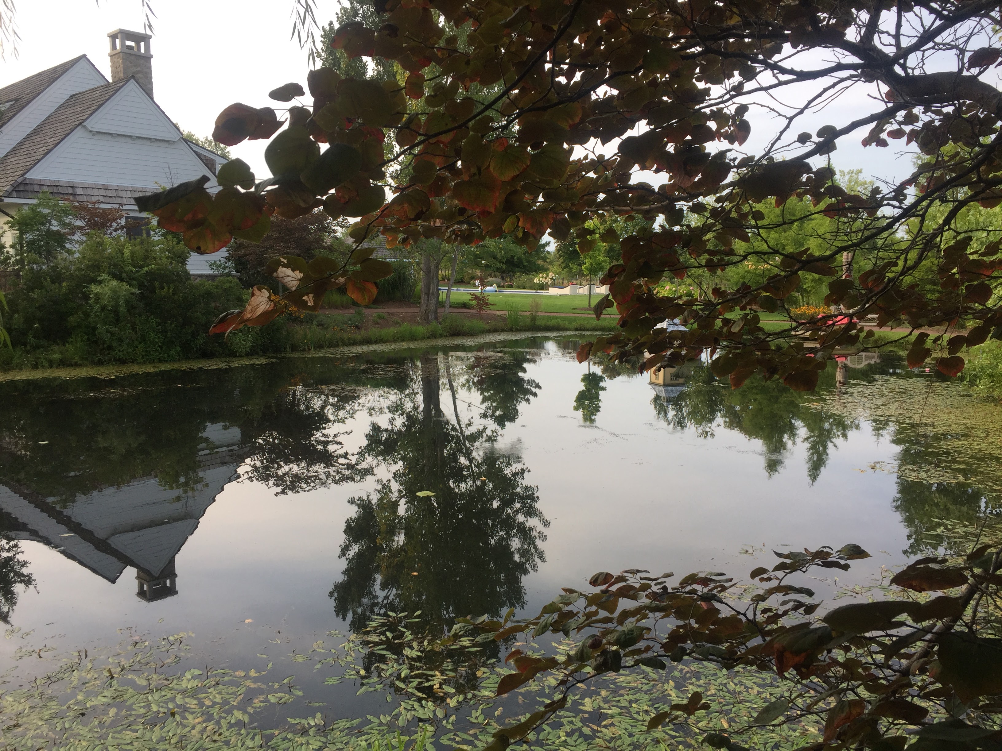 2017-08-26 McAnoy - Pond