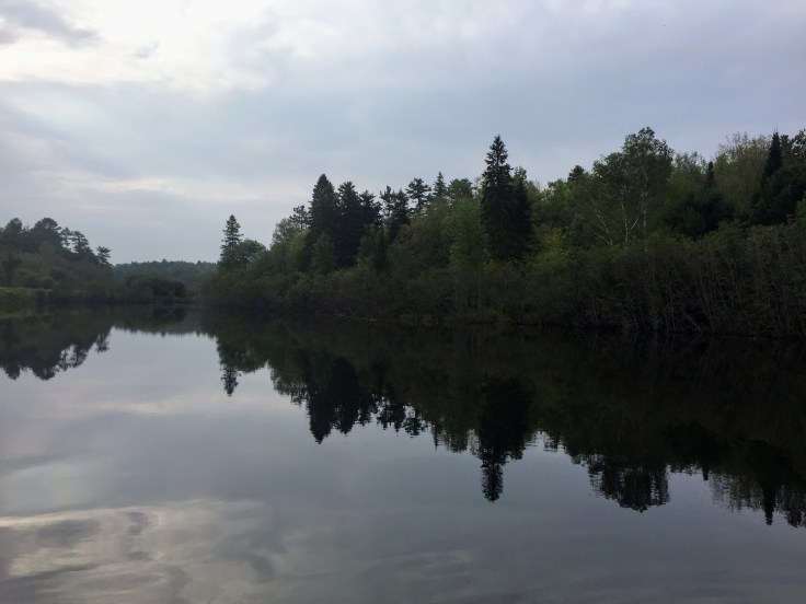 2017-08-29 Spragge 02