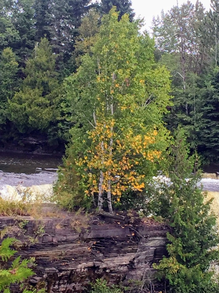 2017-09-04 Kakabeka Falls 07