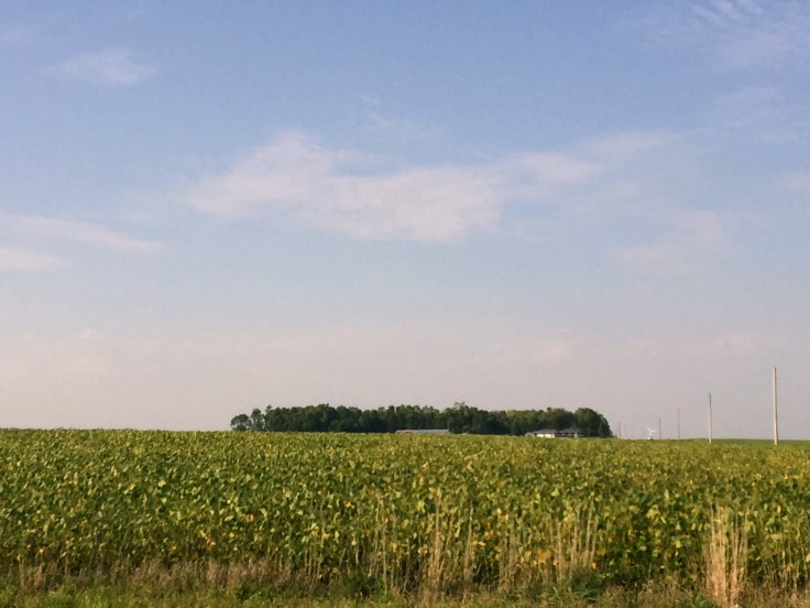2017-09-13 Minnesota Farms 05