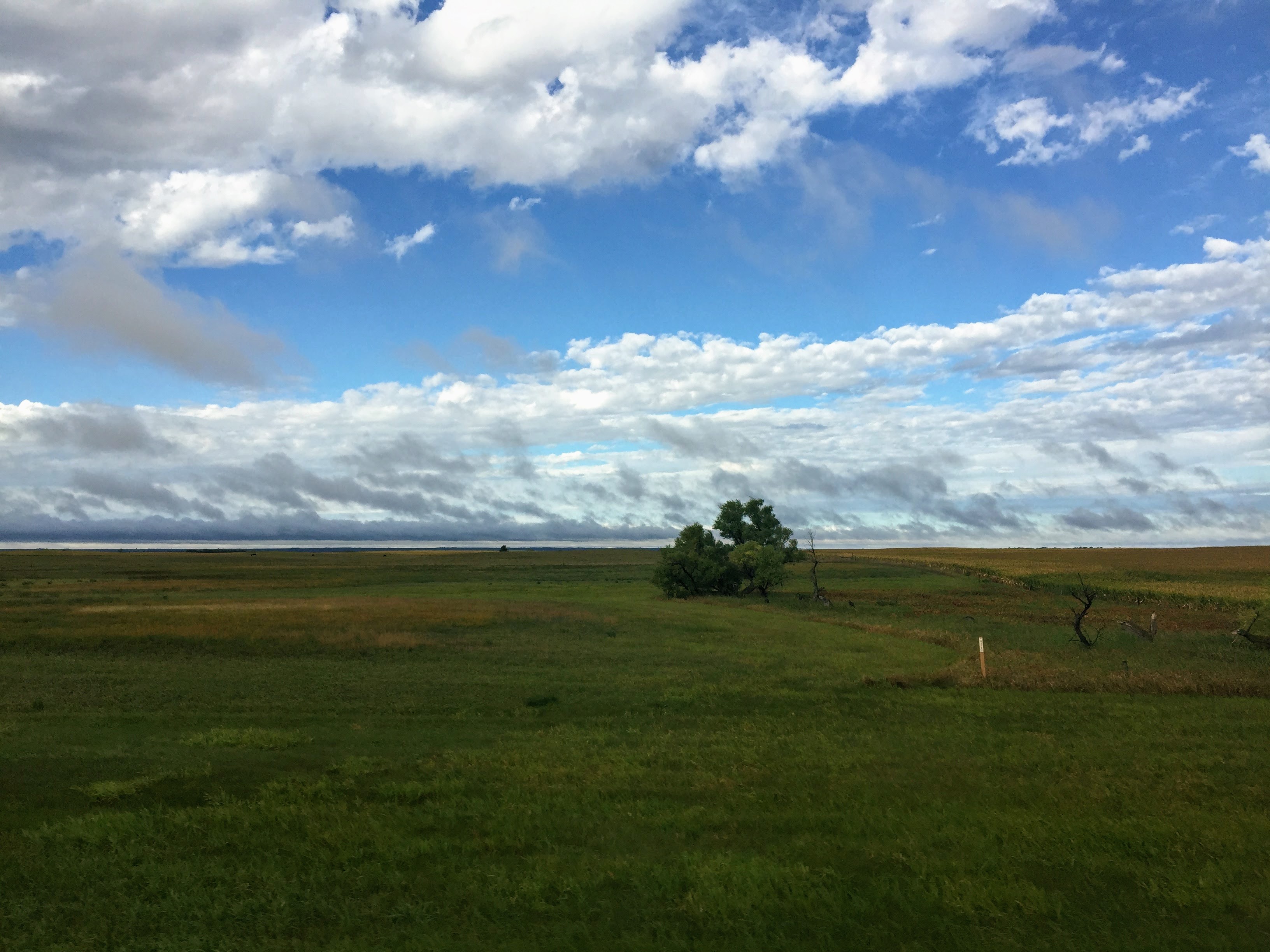 2017-09-15 LIW 02a Homestead Prairie