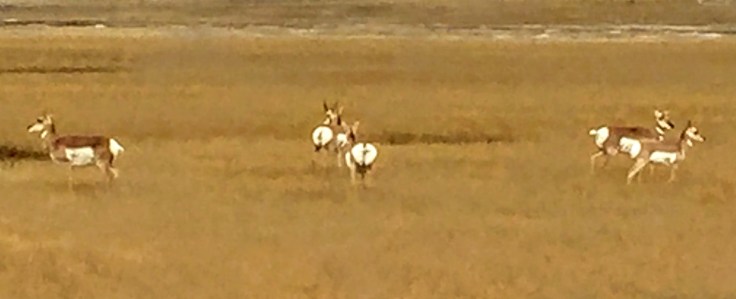 2017-09-16 SD 50a Badlands