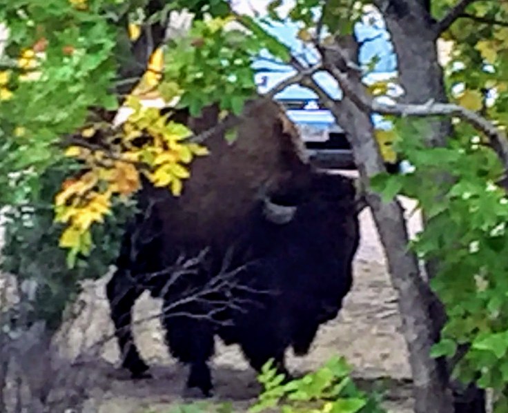 2017-09-16 SD 51 Badlands