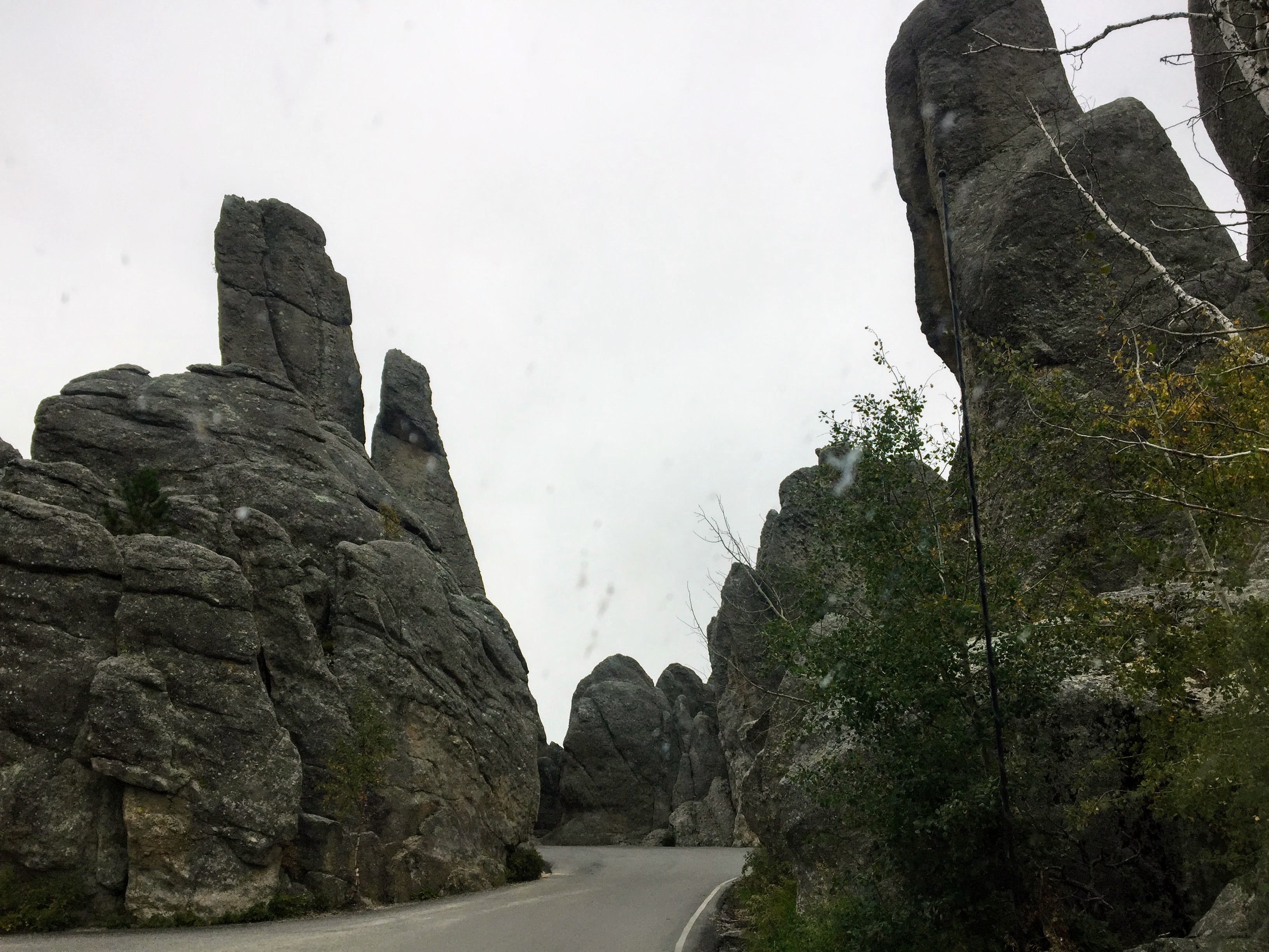 2017-09-17 Black Hills 07 Needles