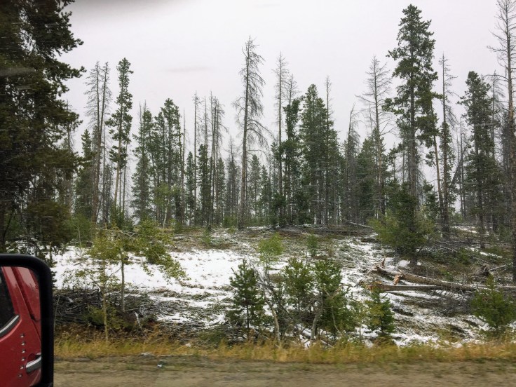 2017-09-20 01 Montana 02 Snow