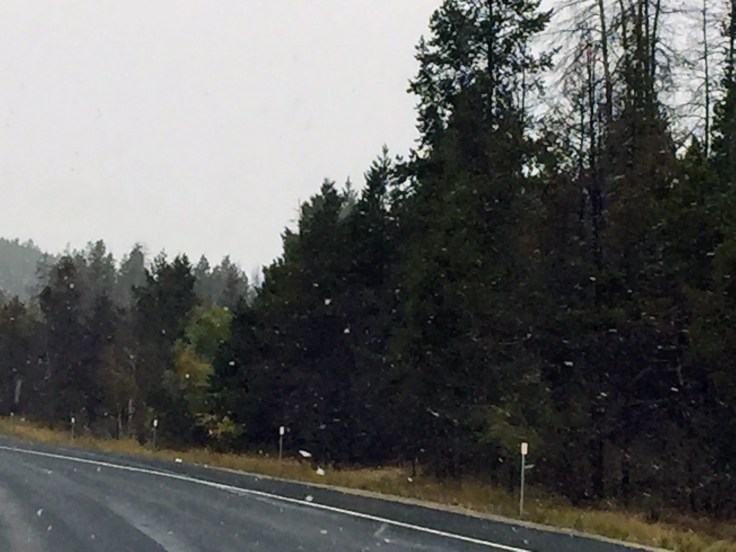 2017-09-20 01 Montana 05 Snow