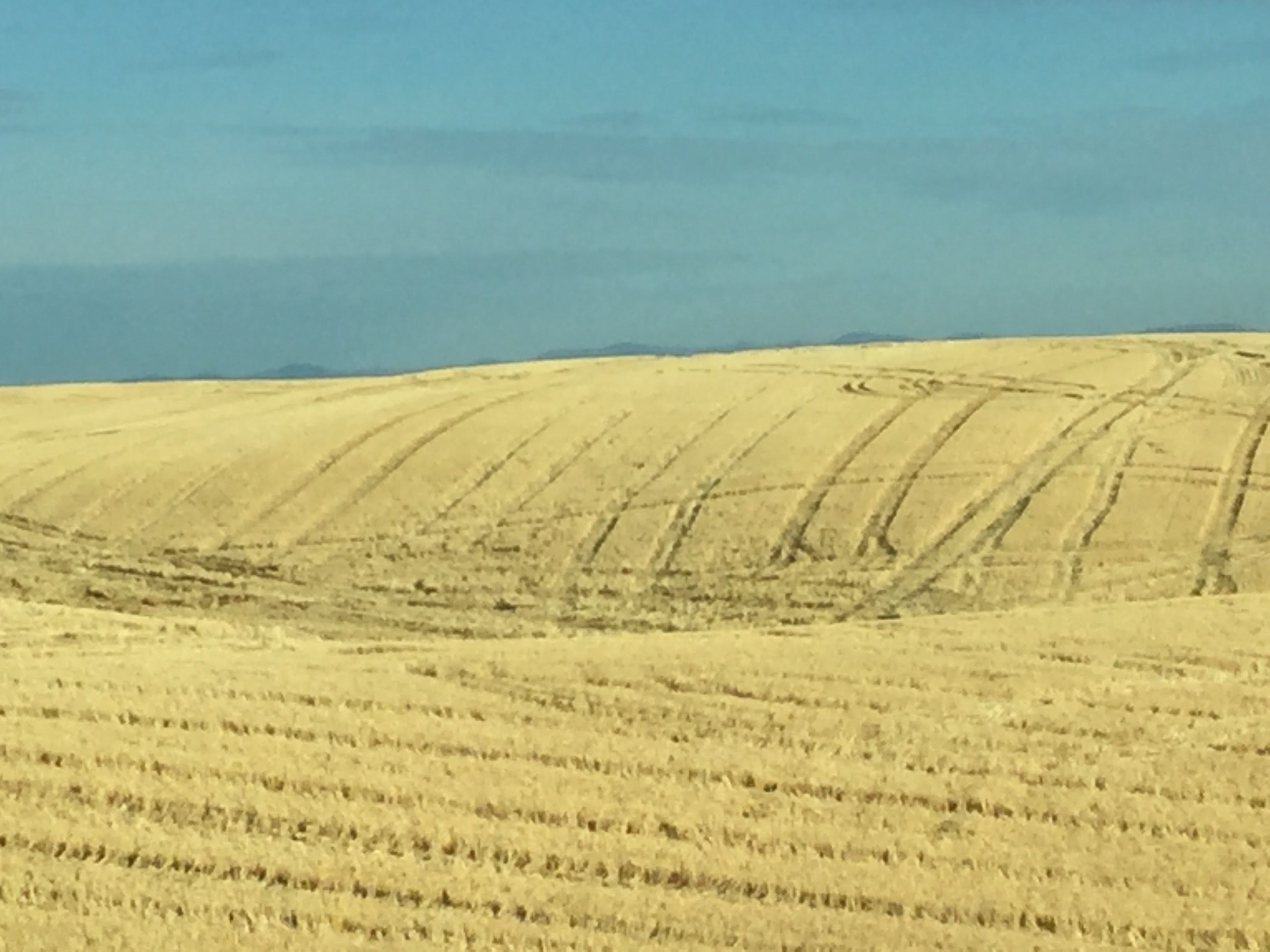 2017-09-23 Washington 03