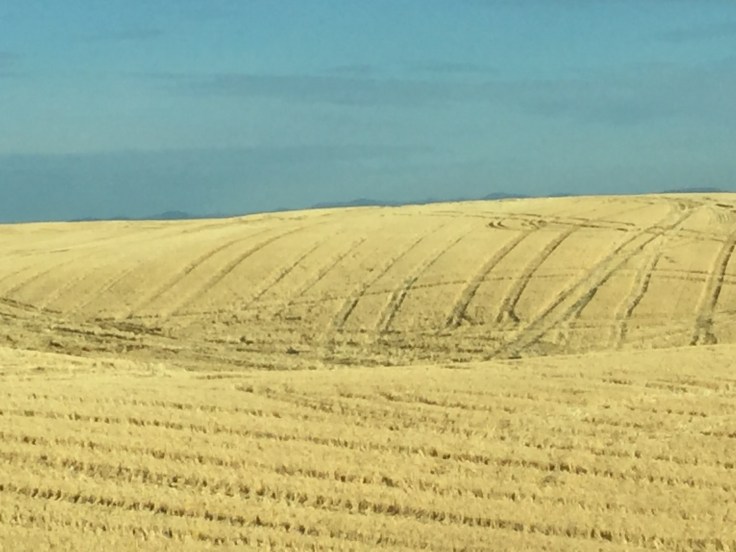 2017-09-23 Washington 03