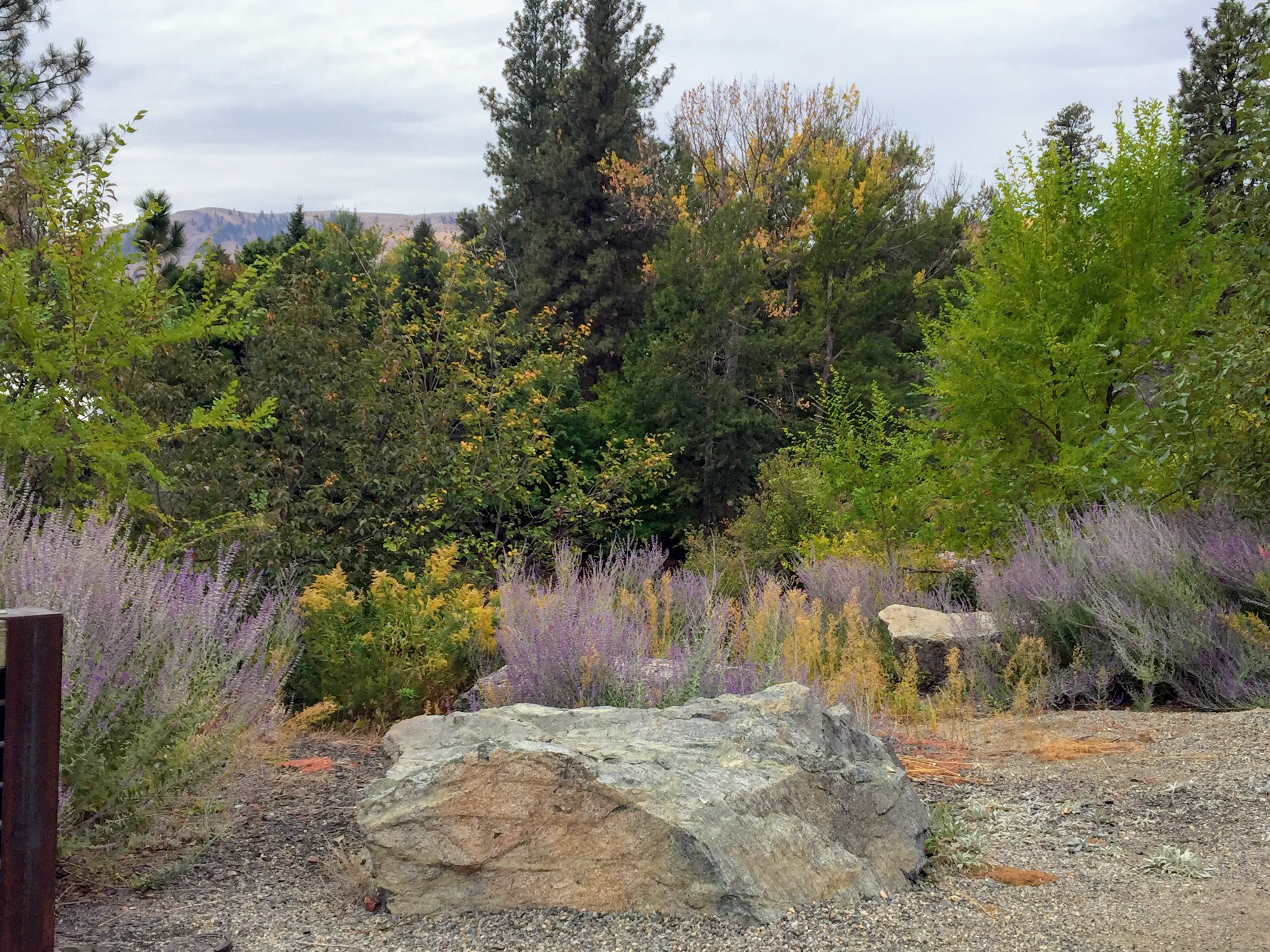 2017-09-24 Washington 07 Winthrop 04