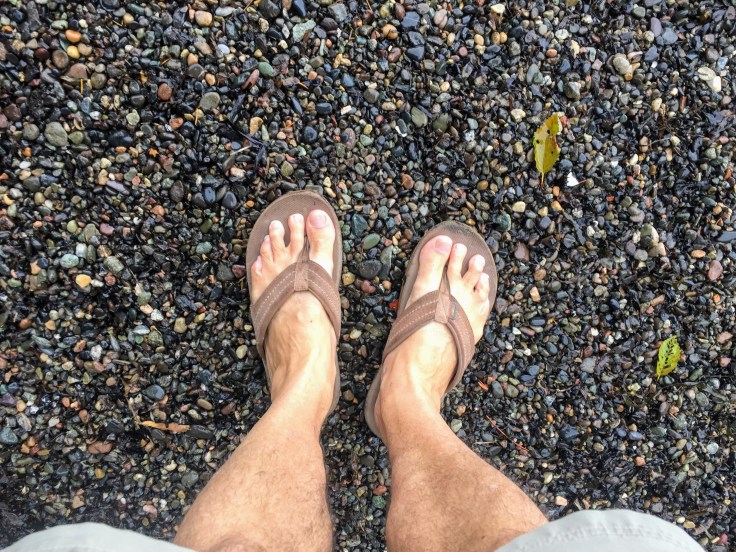 2017-09-25 Washington 01 Larrabee State Park 10