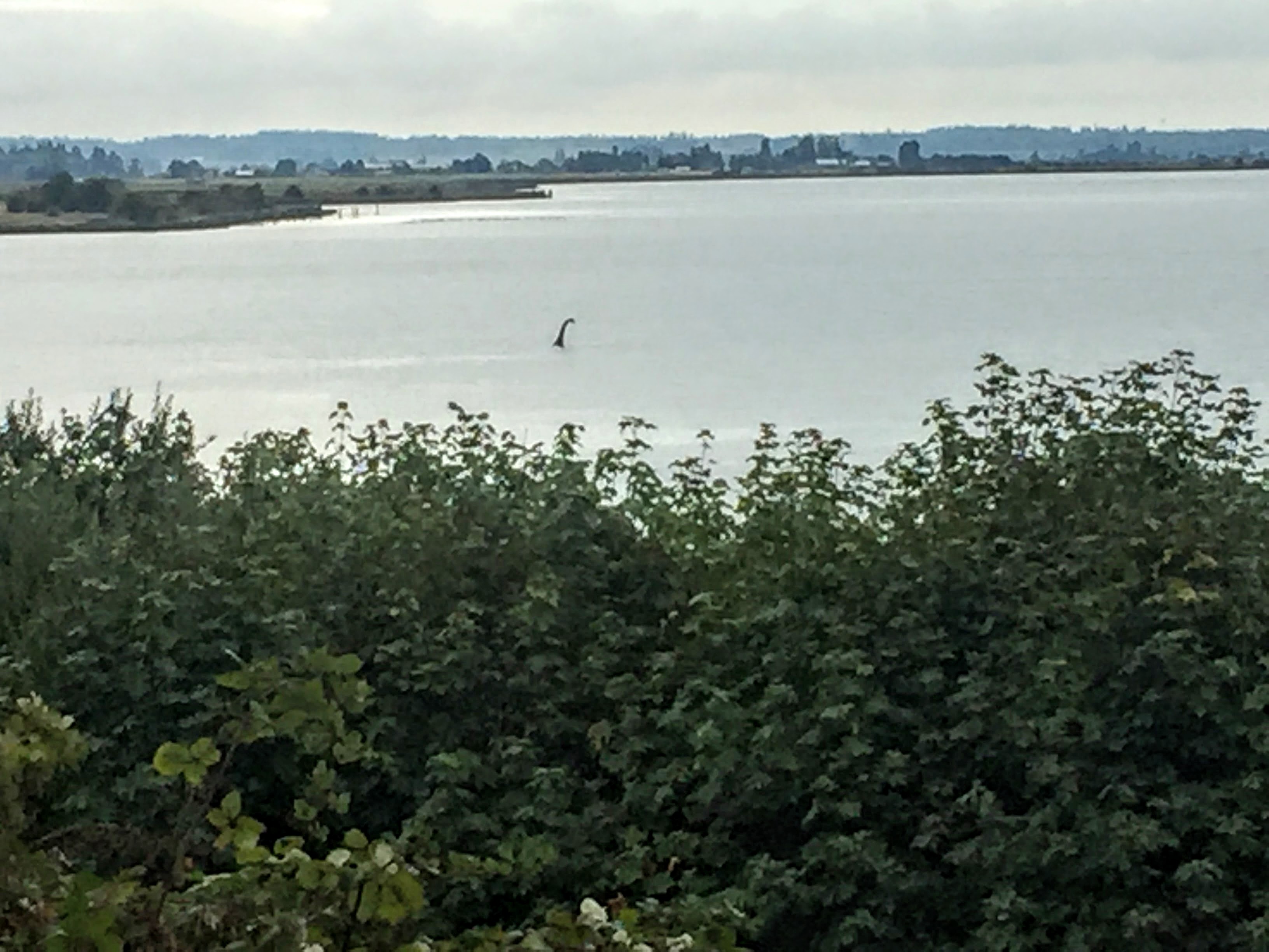 2017-09-25 Washington 03 Oyster Farm
