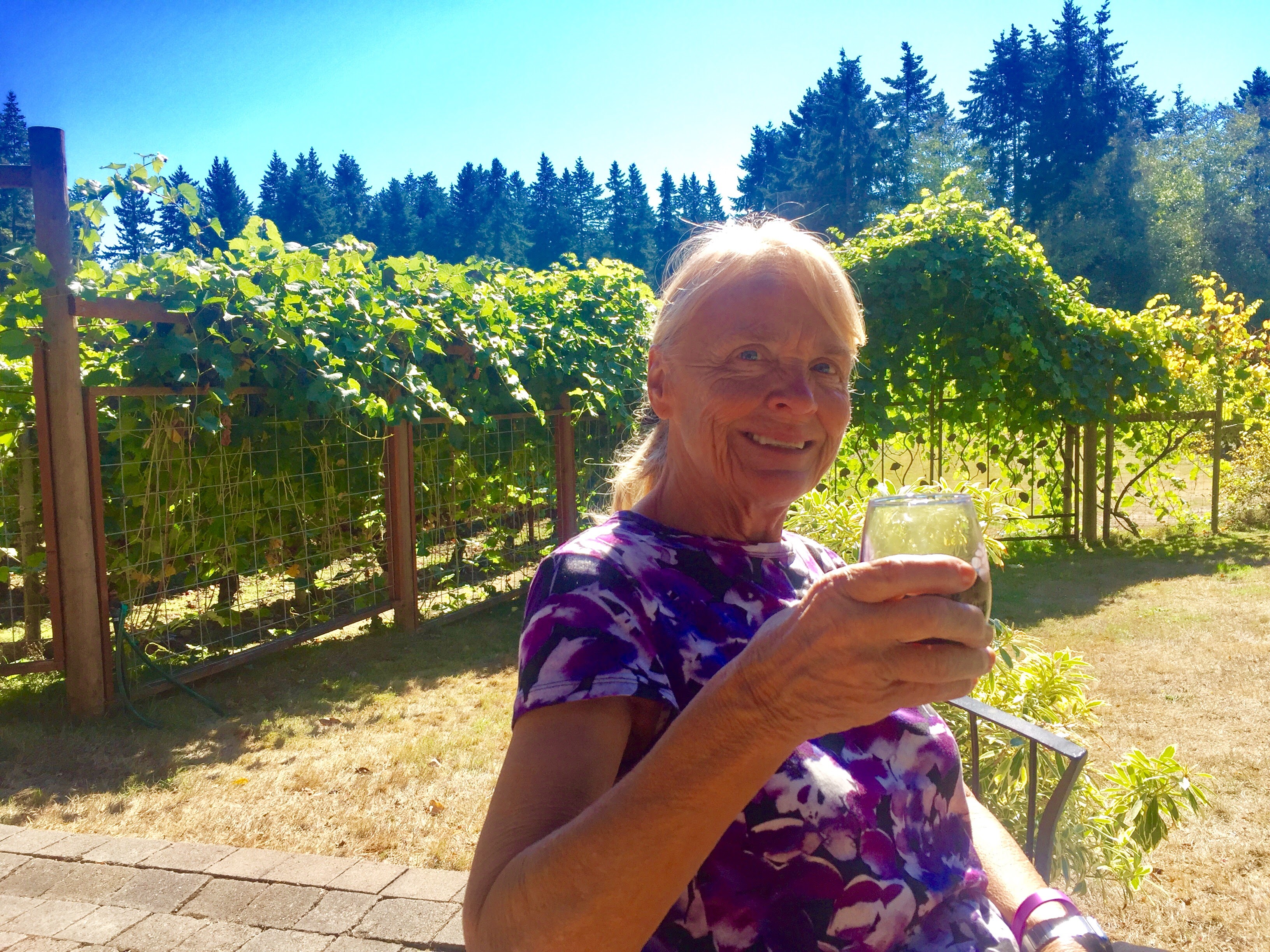 2017-09-27 Washington 01 Langley Winery 02