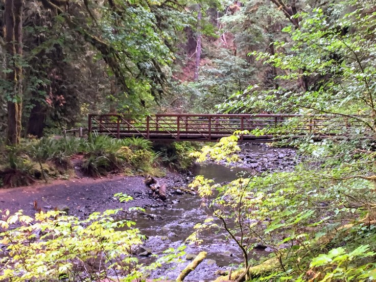 2017-09-29 Washington 03 Hike Marymere 05