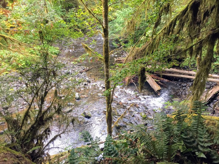 2017-09-29 Washington 03 Hike Marymere 09