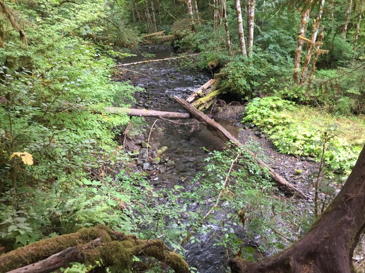 2017-09-29 Washington 03 Hike Marymere 10