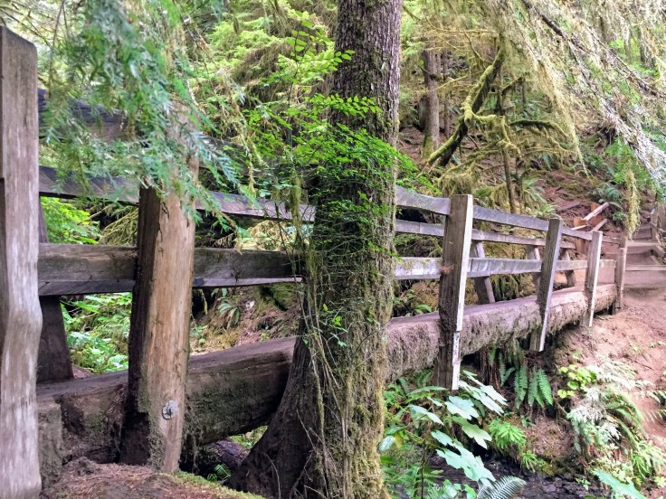 2017-09-29 Washington 03 Hike Marymere 15