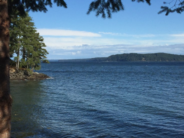 2017-09-29 Washington 06 Hood Canal 03