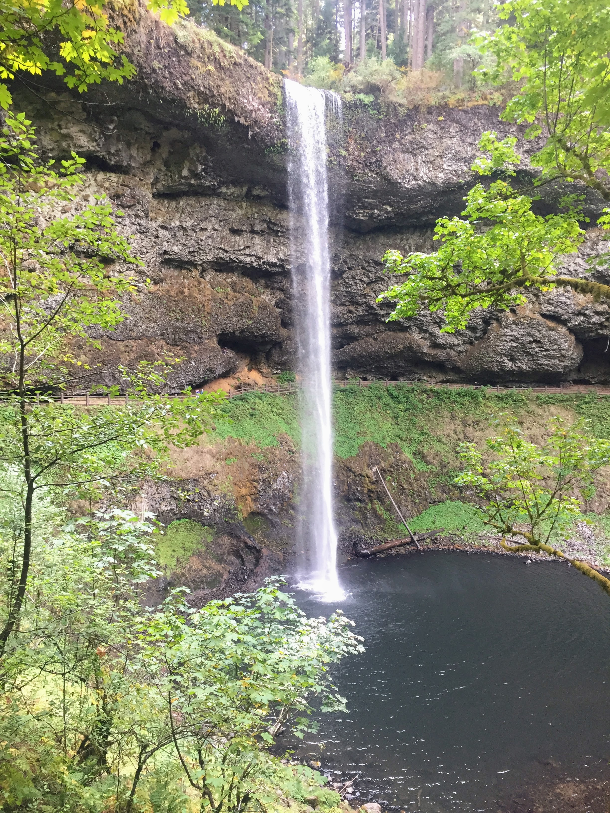 2017-10-01 Oregon 01 Silver Falls 04