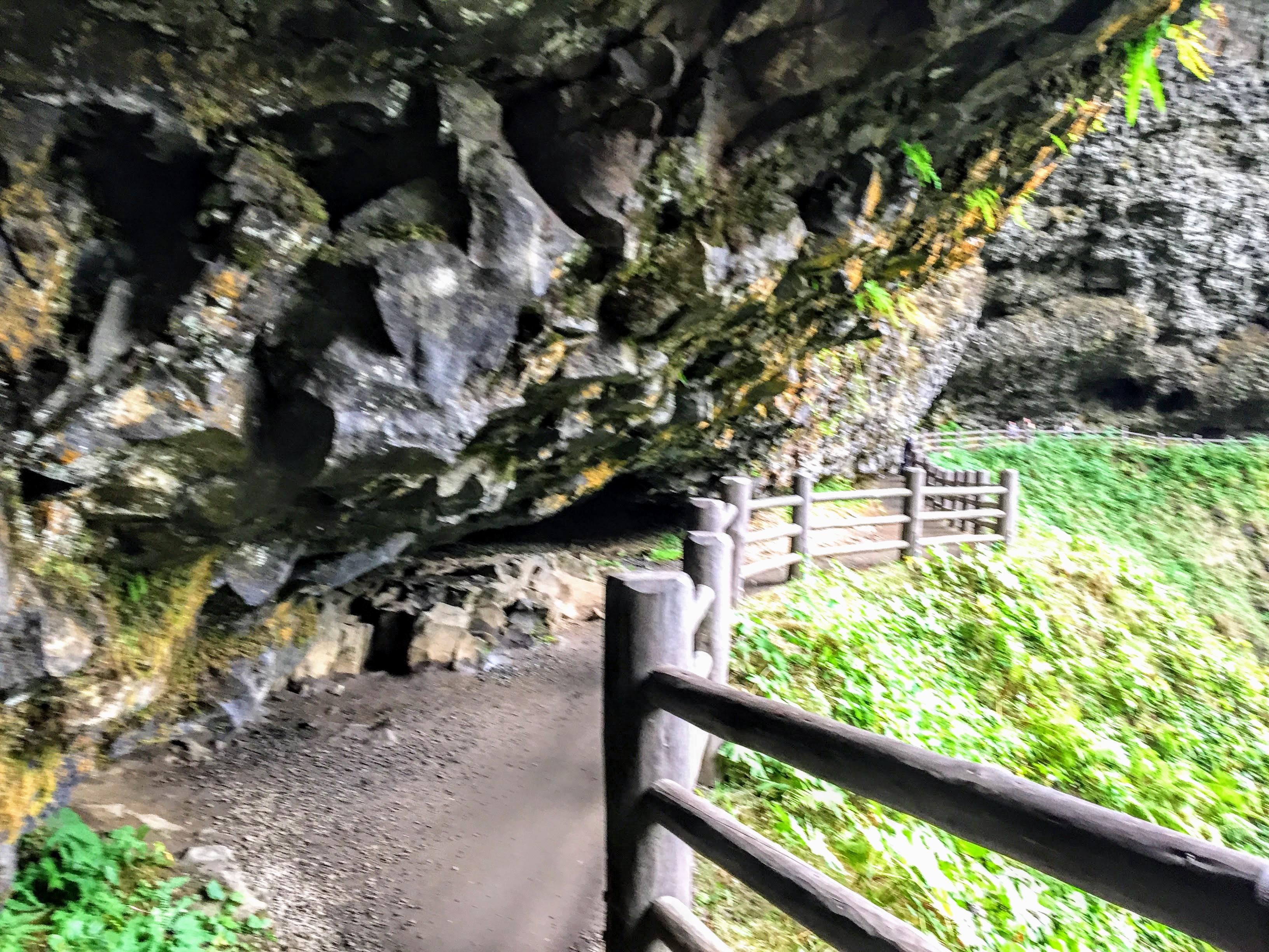 2017-10-01 Oregon 01 Silver Falls 09